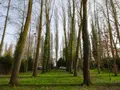 Terrains de loisirs bois etangs a vendre Nogent-le-Rotrou 28400 Eure-et-Loir 28 26500 euros NOG 1039 002