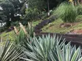 Maison a vendre Cayenne 97300 Guyane 973 154 m2 4 pièces 495000 euros 1010299 004