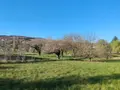Terrain a batir a vendre Igé 71960 Saône-et-Loire 71 1271 m2 125760 euros SC 002