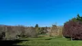Terrain a batir a vendre Igé 71960 Saône-et-Loire 71 1271 m2 125760 euros SC 003