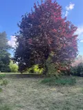 Propriete a vendre Béthisy-Saint-Pierre 60320 Oise 60 240 m2 8 pièces 280000 euros achat_propriete_com_60068_60320 017
