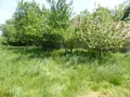 Propriete a vendre Thermes-Magnoac 65230 Hautes-Pyrénées 65 280 m2 8 pièces 395380 euros 26008 012