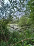 Propriete a vendre Péronne 80200 Somme 80 250 m2 8 pièces 416000 euros P0171 022