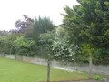 Maison a vendre Saint-Chamant 19380 Corrèze 19 80 m2 4 pièces 114672 euros Saint Chamant 003