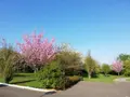 Maison a vendre Tertry 80200 Somme 80 280 m2 7 pièces 514800 euros RL0180 005