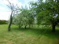 Terrain a batir a vendre Saint-Père 58200 Nièvre 58 1859 m2 21200 euros ST 268 003