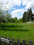 Terrains de loisirs bois etangs a vendre Tracy-sur-Loire 58150 Nièvre 58 12200 euros ST 269 002