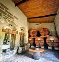 Propriete viticole a vendre Le Thoronet 83340 Var 83 775 m2 10 pièces 10045000 euros domaineviticole 005