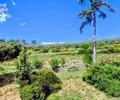 Propriete viticole a vendre Le Thoronet 83340 Var 83 775 m2 10 pièces 10045000 euros domaineviticole 014