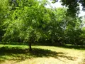 Maison a vendre Saint-Jean-Pierre-Fixte 28400 Eure-et-Loir 28 133 m2 5 pièces 238500 euros STJ 1060 027
