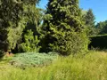 Maison a vendre Épinac 71360 Saône-et-Loire 71 159 m2 7 pièces 180200 euros 1003416 003