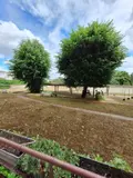 Appartement a vendre Dijon 21000 Côte-d'Or 21 63 m2 4 pièces 117834 euros 2026-1 010