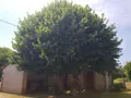 Maison a vendre Saint-Christophe-en-Bazelle 36210 Indre 36 102 m2 4 pièces 90950 euros 23 011