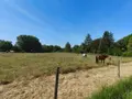 Propriete a vendre Lurs 04700 Alpes-de-Haute-Provence 04 166 m2 6 pièces 506000 euros 1608 006