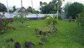 Maison a vendre Saint-Benoît 97470 La Réunion 974 100 m2 4 pièces 282000 euros achat_maison_com_97410_97470 005