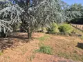 Maison a vendre Saint-Amand-en-Puisaye 58310 Nièvre 58 68 m2 4 pièces 78000 euros Ref 108 011