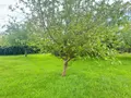 Maison a vendre Brest 29200 Finistère 29 170 m2 8 pièces 421000 euros 1020288 001