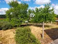 Maison a vendre Toucy 89130 Yonne 89 108 m2 5 pièces 129600 euros 1008873 007