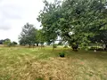 Maison a vendre La Chapelle-au-Riboul 53440 Mayenne 53 156 m2 6 pièces 234450 euros 53090-470 016