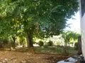 Maison a vendre Boulogne-sur-Gesse 31350 Haute-Garonne 31 200 m2 6 pièces 74200 euros 26010 002