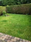 Location maison Honfleur 14600 Calvados 14 94 m2 4 pièces 1200 euros LO732 002