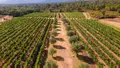 Propriete viticole a vendre Gonfaron 83590 Var 83 420 m2 1450000 euros domainegonfaron 006
