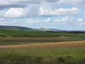 Terrain a batir a vendre Sermiers 51500 Marne 51 230000 euros achat_terrain_a_batir_com_51532_51500 001