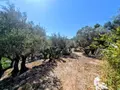 Maison a vendre La Valette-du-Var 83160 Var 83 220 m2 9 pièces 895000 euros ensembleimmolavalette 008