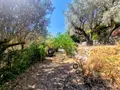 Maison a vendre La Valette-du-Var 83160 Var 83 220 m2 9 pièces 895000 euros ensembleimmolavalette 012