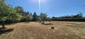 Maison a vendre Cormes 72400 Sarthe 72 78 m2 3 pièces 146000 euros 504 009