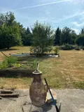 Maison a vendre Verchocq 62560 Pas-de-Calais 62 167 m2 7 pièces 299000 euros 6055 011