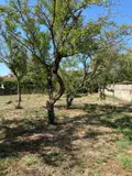 Maison a vendre Paray-le-Monial 71600 Saône-et-Loire 71 89 m2 4 pièces 140000 euros M-P-TR 005