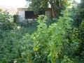 Maison a vendre Origny-Sainte-Benoite 02390 Aisne 02 313 m2 19 pièces 146515 euros 204387 070