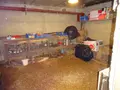 Maison a vendre Nogent-le-Rotrou 28400 Eure-et-Loir 28 77 m2 3 pièces 116600 euros NOG 1066 015