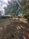 Maison a vendre Sedan 08200 Ardennes 08 89 m2 5 pièces 219000 euros 045/1047 004