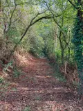 Terrains de loisirs bois etangs a vendre Le Mans 72000 Sarthe 72 18500 euros LMY/PAC 002