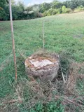 Terrains de loisirs bois etangs a vendre Le Mans 72000 Sarthe 72 18500 euros LMY/PAC 004