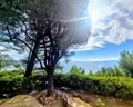 Propriete a vendre Sainte-Maxime 83120 Var 83 295 m2 8 pièces 4500000 euros propritésaintemaxime 027