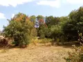 Maison a vendre Villegusien-le-Lac 52190 Haute-Marne 52 101 m2 5 pièces 116600 euros SGAUR116655 006