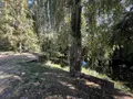 Propriete a vendre Coublanc 52500 Haute-Marne 52 300 m2 11 pièces 254400 euros SGML116706 016