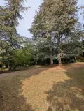 Maison a vendre Sedan 08200 Ardennes 08 228 m2 9 pièces 250000 euros 045/1049 005