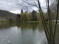 Terrains de loisirs bois etangs a vendre Laniscourt 02000 Aisne 02 95500 euros 1085 001