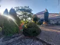 Maison a vendre Andouillé 53240 Mayenne 53 184 m2 6 pièces 119830 euros 53090-1144 015