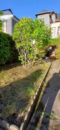 Vente aux encheres maison Honfleur 14600 Calvados 14 90 m2 3 pièces HO 875 004