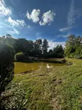 Terrains de loisirs bois etangs a vendre Cartigny 80200 Somme 80 30 m2 54000 euros C0198 006
