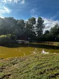 Terrains de loisirs bois etangs a vendre Cartigny 80200 Somme 80 30 m2 54000 euros C0198 008
