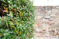 Maison a vendre Ancenis-Saint-Géréon 44150 Loire-Atlantique 44 68 m2 4 pièces 199500 euros achat_maison_com_44003_44150 014