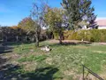 Maison a vendre Bléneau 89220 Yonne 89 6 pièces 129904 euros 1009205 007