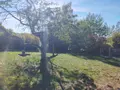Maison a vendre Bléneau 89220 Yonne 89 6 pièces 129904 euros 1009205 008