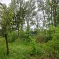Maison a vendre Sains-du-Nord 59177 Nord 59 96 m2 6 pièces 76700 euros A2026 00146 012